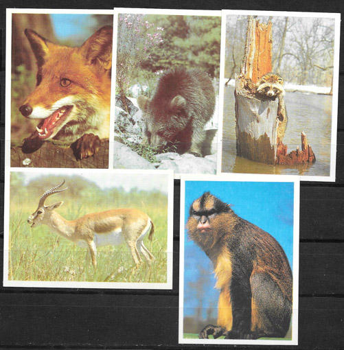 Набор календариков. Фото животных. 1990 г. 5 шт.